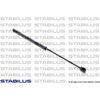 2x StabiLUS Gasfeder HECKKLAPPE passend für X1 E84 Focus C-Max DM2