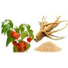 ashwagandha capsules ASHWAGANDHA ROOT COMPLEX 770mg fertility supplements -2 Bot