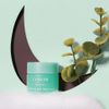 [Laneige]Lip Sleeping Mint Choco (20g)