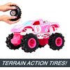 Hot Wheels HNV02 Toys