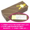 Mechanical Pencil Sailor Timetide Red SAILOR