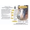 KM Elite ThinLine Flexible Filly Grazing Muzzle - Soft Light & Durable Protect from Overeating (Large)