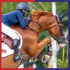 Equine America Horse Energy Performance Electrolytes Liquid Solution 1L