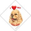 I (Heart) My Cocker Spaniel Window Sticker