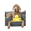Nobby Daggi Plush Duck, 18 cm