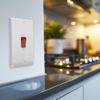 BG Electrical Control Switch 45A DP