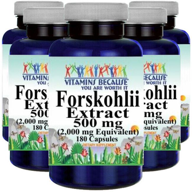 Coieus Forskohlii Extract Forskolin 2000mg 6X180 Caps