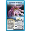 Top Trumps Creatures of the Deep