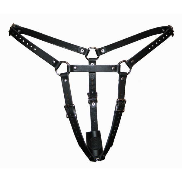 Female Butt Plug Harness