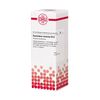 Equisetum arvense D12 DHU Dilution, 20 ml Lösung
