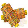 Mara Multicolour Sewing Thread Gutermann Multi Colour 30-2 Spools,300m (Colour 9822)