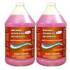 Commercial Industrial Grade Machine Dishwash Detergent - 2 gallon case