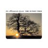 The Sunset Tree [Vinyl]