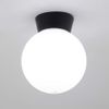 LITECRAFT Lancaster Ceiling Light Outdoor Fitting with White Globe Shade - Black
