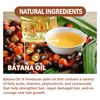 Pemarlis Shampoo (4)