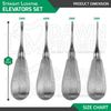 4 Pcs Straight Luxating Elevators Set Oral Dental Instruments German Grade