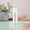 Ejove Aloe Vera Gel 100 ml | Pure Aloe Vera Gel | Soothing Gel for Face and Body | For Sunburn | For Acne and Stretch Marks | For Insect Bites and Burns