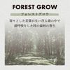 Harukado / CARALL Awesome Days Box, Forest Glow, Model Number: 3516