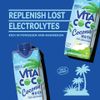 Vita Coco Coconut Water (11.1 fl. oz., 12 pk.)