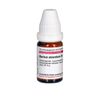 Barium chloratum D6 DHU Globuli, 10 g Globuli