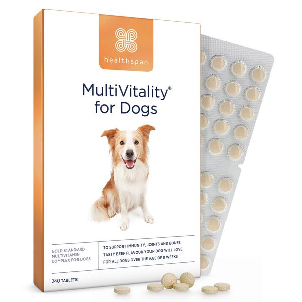 Healthspan Multivitamin for Dogs (240 Tablets) | Gold Standard Multivitamin for Every Stage in Life | 18 Essential Vitamins & Minerals | Supports Every Day Health & Vitality | Beef Flavoured