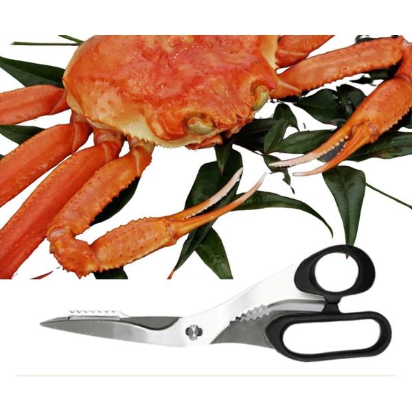 Crab Scissors Easily Cuts Hard Shells