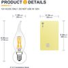 12V Low Voltage E12 LED Light Bulbs Soft Warm 2700K 4W Only for 12 Volt DC New