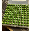 Transparent Candy Lime Green Powder Coating Paint - New 1 LB