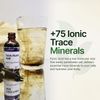 Fulvic Humic Acid Ionic Trace Minerals with Electrolytes Liquid Supplement. Plan