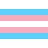 CafePress Transgender Pride Flag Rectangle Bumper Sticker Car Decal