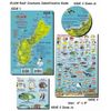Guam Reef Fish and Creature Guide