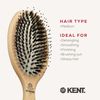 Kent Brushes Perfect For Range PF01