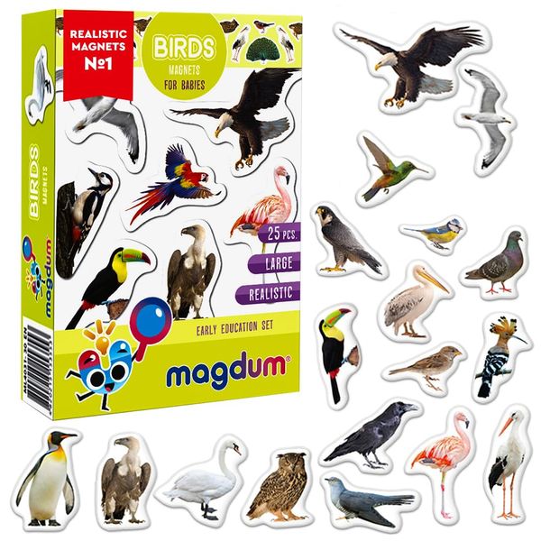 Fridge Magnets For Toddlers Magdum - 25 BIRDS Fridge Magnets - Animal Magnets For Toddlers - Fridge Magnets For Kids - Kids Magnets - Magnetic Shapes - Magnet Toy - Kids Magnets For Fridge