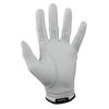 Payntr X Golf Glove - Regular Fit, Left Hand X Large
