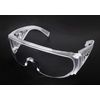 CLEAR SAFETY GOGGLES (10 PK) - |Eye Protection|Fro