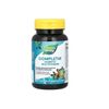 Nature's Way, Completia, Diabetic Multi-Vitamin, 2 PACK, 60 Tablets each x 2