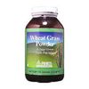 Wheat Grass 100% Pure  Powder 3.5 Oz By Pines Wheat Grass