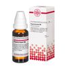 DHU Pareira brava D6 Dilution, 20 ml Lösung