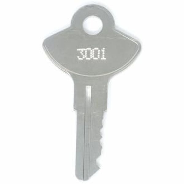 Craftsman 3002 Replacement Toolbox Key: 2 Keys