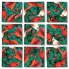 B. Dazzle - Cardinals 9 Piece Scramble Square Puzzle - Challenging Brain Teaser for Children & Adults-Boosts Cognitive Function & Problem Solving