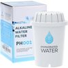 PH001 - White Alkaline Water Filter – Replacement Filters for All  Pitcher & ...