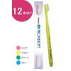 Prodent Proxident Compact Head MS (Medium Soft) Toothbrush #622 (12 Count)