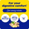 Ginger Supplements for Nausea Indigestion Gas and Bloating 60 Soft Gummies