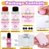Taba Squishy Maker Kit Gel+Pig Silicone Mould+Pigment