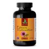 Echinacea & GoldenSeal Root 200mg. Help Stimulate Immune System (1 Bottle)