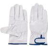 FujiFilm Gloves Ex – 233 White LL 5966