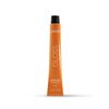 Lakme Gloss Paint 6/66 60 ml
