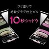 Aube Brush Single One Coat Shadow N, SC-2 See-through Beige and Bonus Eye Shadow Set, 0.2 oz (4.5 g)