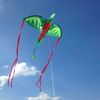 Melissa & Doug Winged Dragon Shaped Kite (62-Inch Wingspan)