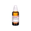 DHU Viscum album D30 Dilution, 50 ml Lösung